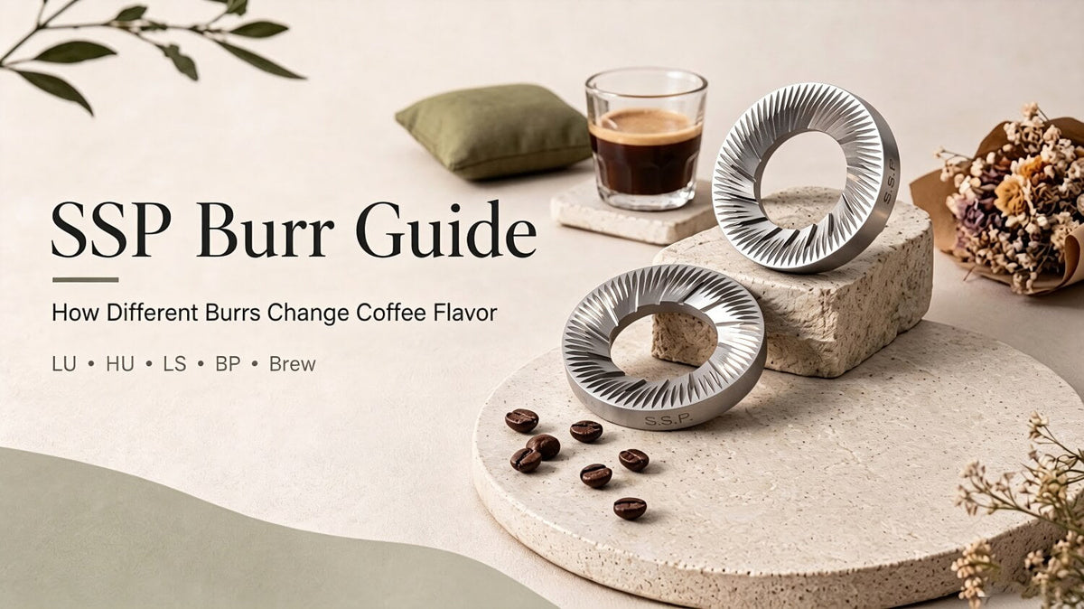 SSP Burr Guide: How Different Burrs Change Coffee Flavor