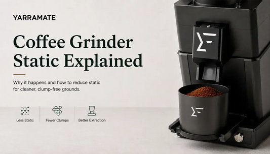 Coffee Grinder Static: Why Grounds Stick Everywhere